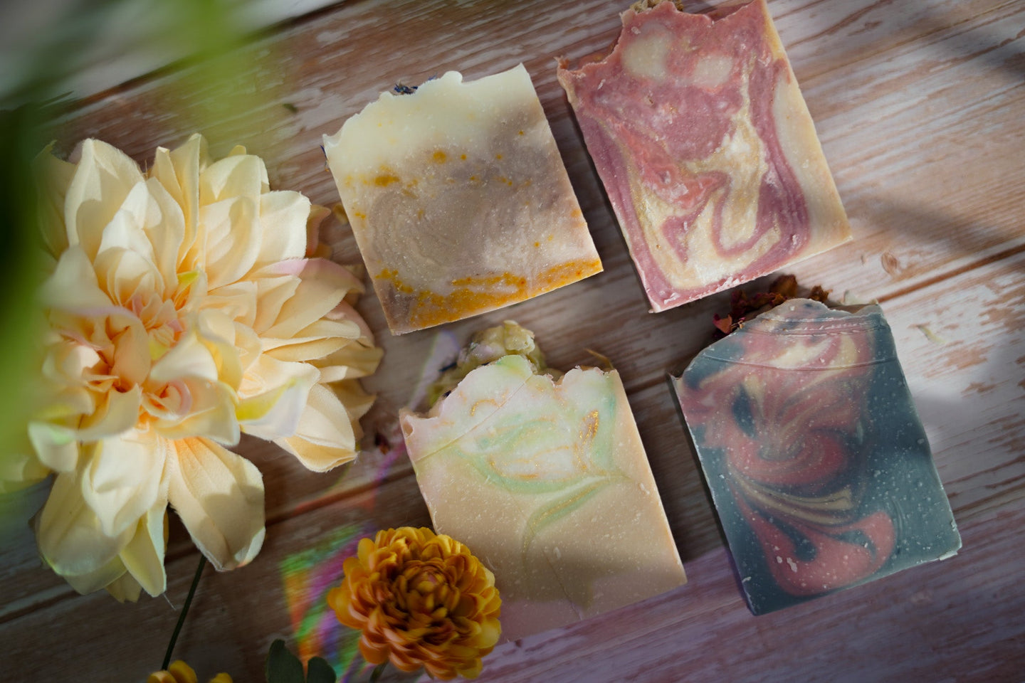 fall equinox collection
